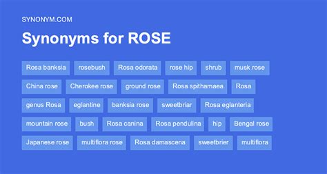 156 Synonyms & Antonyms of AROSE .